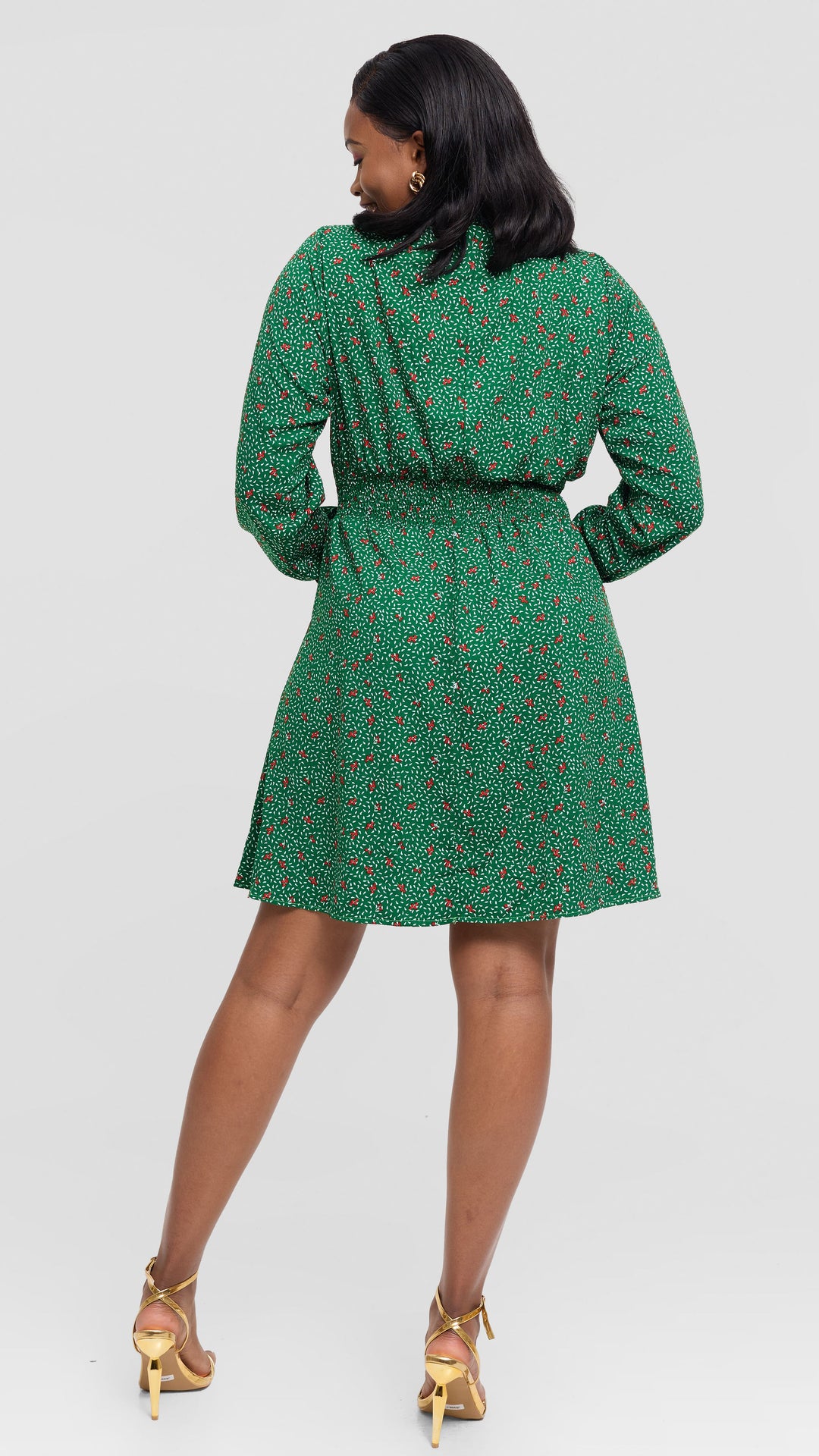 Salok Havilah Naya Knee-length Dress - Green Print