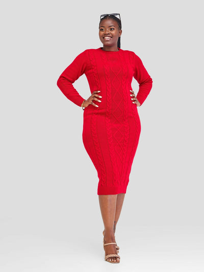 The Fashion Frenzy Dress - Red - Shopzetu