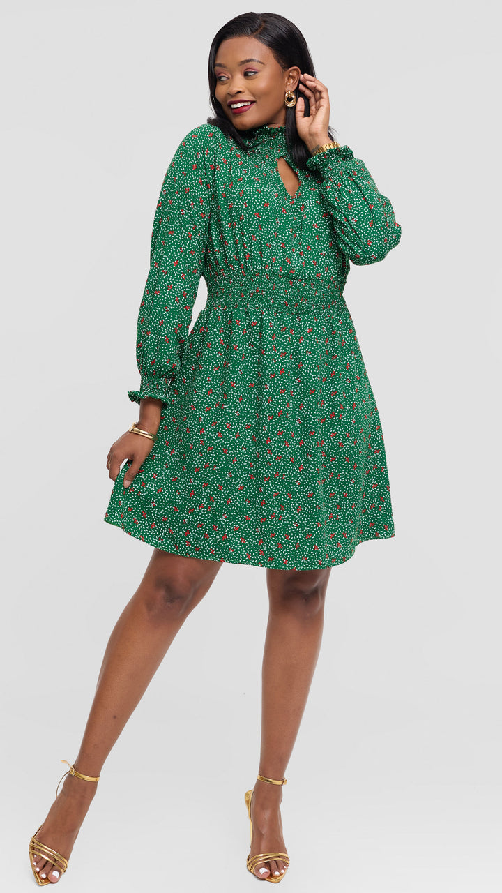Salok Havilah Naya Knee-length Dress - Green Print