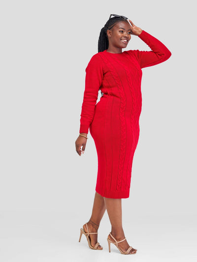 The Fashion Frenzy Dress - Red - Shopzetu