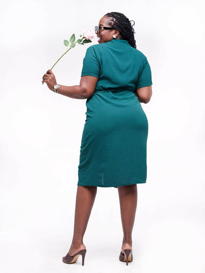 Phyls Collections Nate Knee Length Shirt Dress - Green - Shopzetu