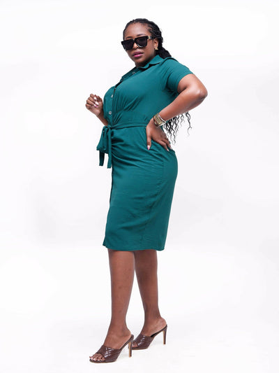 Phyls Collections Nate Knee Length Shirt Dress - Green - Shopzetu